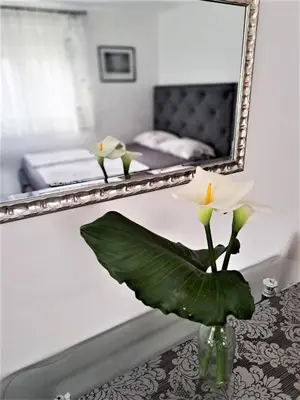 a vase with a flower on a table in front of a mirror at Montenegro Smile in Dobra Voda