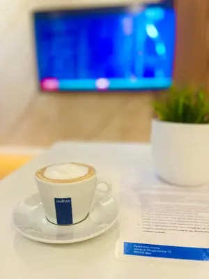 a cup of coffee on a plate on a table at Apartment Hana in Bar