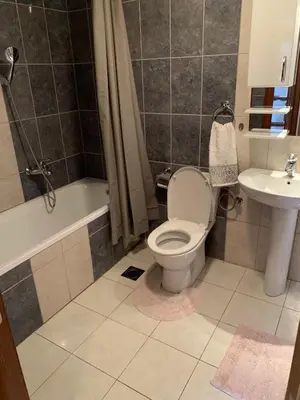 a bathroom with a toilet and a sink at Apartment IDA in Budva