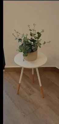 a small table with a potted plant on it at APARTMENT DZANA in Dobra Voda