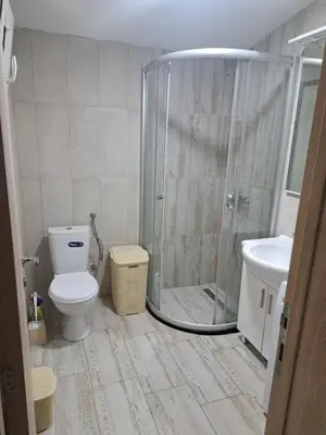a bathroom with a shower and a toilet and a sink at Holiday Home Apartment Ceranic Kotor Tivat in Kotor