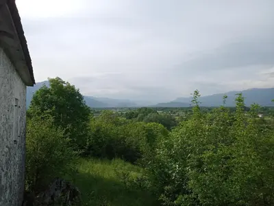 a view of trees and mountains in the distance at Country stone house Kovacevic in Danilovgrad