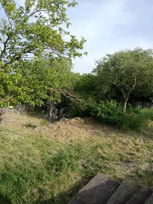 a uprooted tree in a field with trees and grass at Country stone house Kovacevic in Danilovgrad