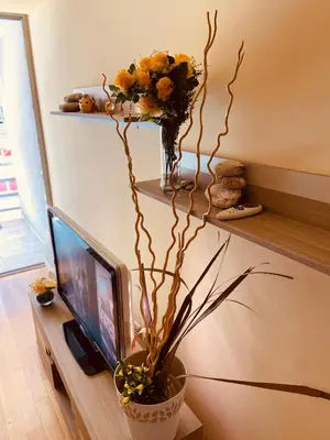 a vase with yellow flowers sitting on a table next to a tv at 'M&M' two bedroom apartment in center of Budva in Budva