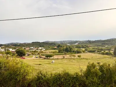 a horse grazing in a field of grass at Greenscape Village in Ulcinj