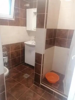 a bathroom with a shower with a toilet and a sink at Apartmani Momčilović in Čanj