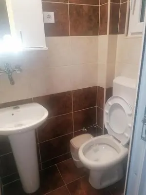 a bathroom with a toilet and a sink at Apartmani Momčilović in Čanj