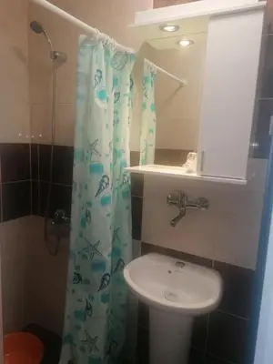 a bathroom with a sink and a shower curtain at Apartmani Momčilović in Čanj