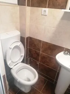 a bathroom with a white toilet and a sink at Apartmani Momčilović in Čanj