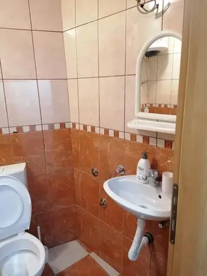 a bathroom with a sink and a toilet at Apartmani Ljumović Budva in Budva