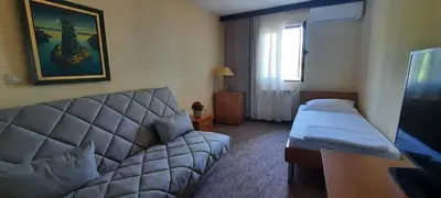 a hotel room with a couch and a bed at Ambassador Apartments in Petrovac na Moru
