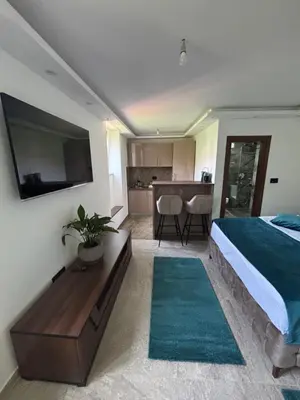a hotel room with a bed and a television at I&G APARTMENTS in Kotor