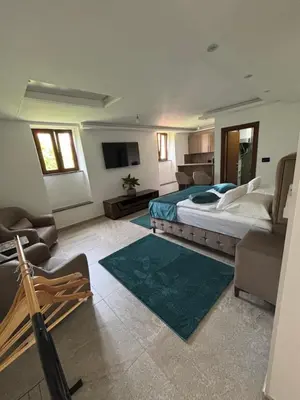 a bedroom with a bed and a living room at I&G APARTMENTS in Kotor