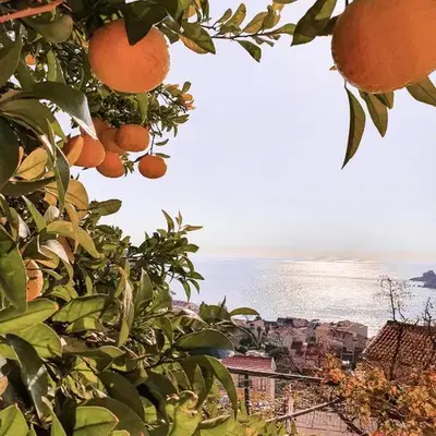 Apartman Lana