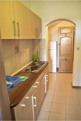 a kitchen with a sink and a refrigerator at Vila Mila in Petrovac na Moru