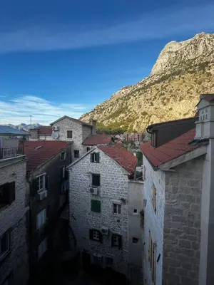 a group of buildings with a mountain in the background at Puerta Apartments in Kotor