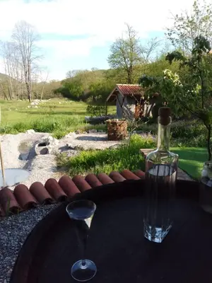 a table with a wine glass on top of it at Lucha apartman in Rijeka Crnojevića