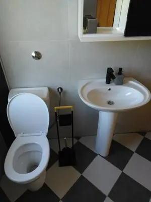a bathroom with a white toilet and a sink at Lucha apartman in Rijeka Crnojevića