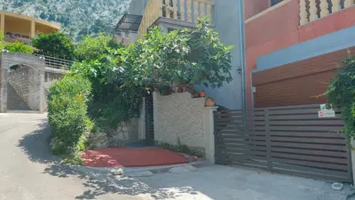 a house with a tree on the side of it at Studio Apartman Rea in Kotor