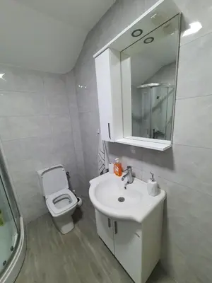 a bathroom with a sink and a toilet and a mirror at Apartman Tolosi 2 in Podgorica
