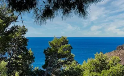 a view of the ocean through the trees at House in the pines in Sutomore