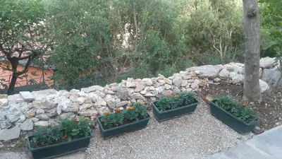 four plants in containers next to a stone wall at Holiday home Panorama in Sutomore