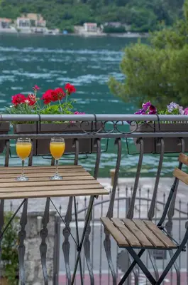 two glasses of orange juice sitting on a table with flowers at Dobrota Blue in Kotor