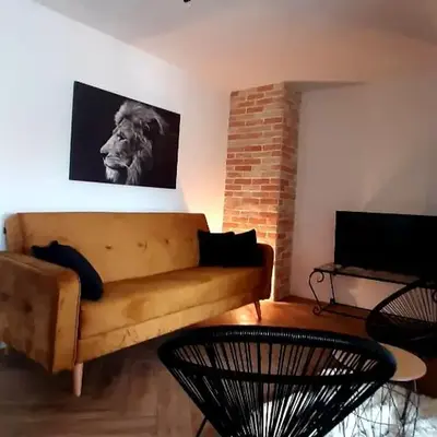 Ric Apartment Budva