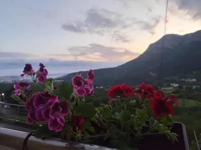 a vase of flowers on a window sill with a mountain at Holiday home N&S in Bar