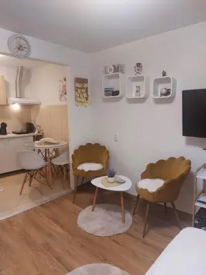 a living room with two chairs and a table at Ljubovic apartman in Podgorica