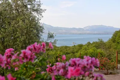 a view of a body of water with pink flowers at house for rent 