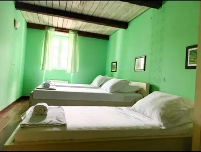 a green bedroom with two beds and a window at Hotel S Family Jovicevic in Rijeka Crnojevića
