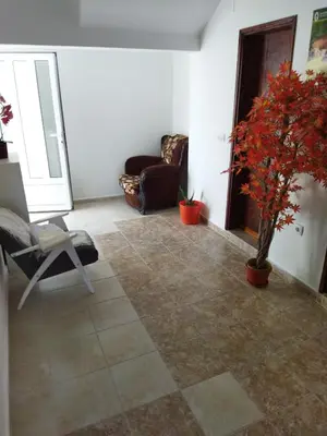 a living room with a chair and a plant at Apartmani Bellami in Becici