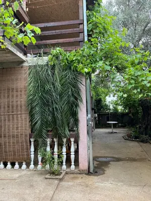 a palm tree growing on the side of a building at Apartmani LALA 2 Canj in Čanj