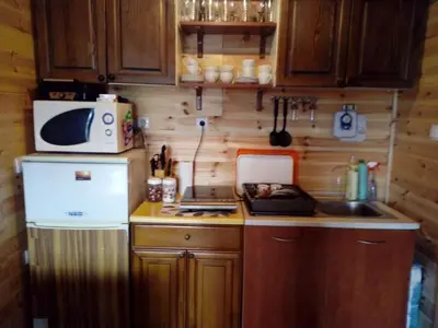 a small kitchen with a stove and a microwave at Veličanka in Ulcinj