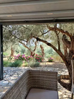 a window with a bench in front of a tree at Villa Butterfly Valdanos in Ulcinj