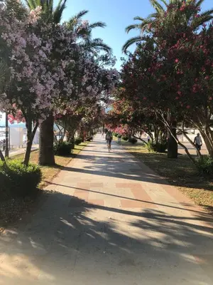 a person riding a bike down a sidewalk with trees at SunshineLiving, Bar in Bar