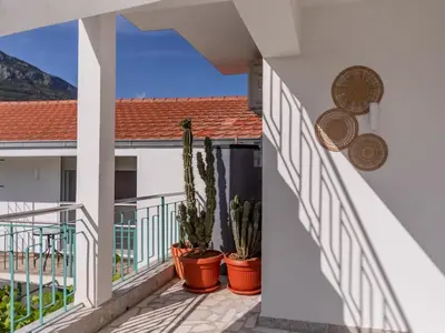 a view from the balcony of a house with cactus at Vila Gina in Bar
