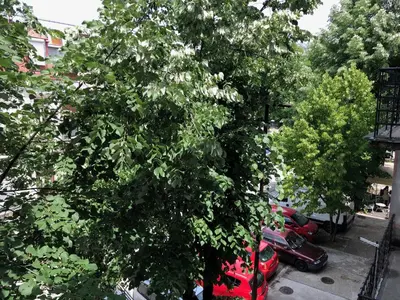 a tree in a parking lot with parked cars at Apartment TARGET in Cetinje