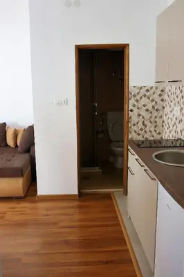 a kitchen with a sink and a toilet in a room at Apartmani 15 in Cetinje