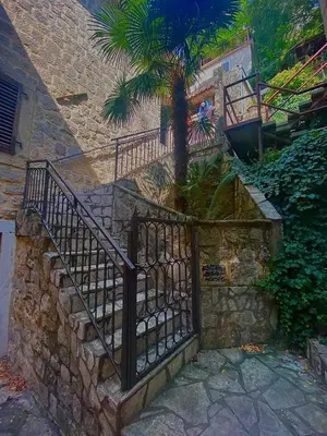 a stone staircase with a fence and a palm tree at Vincenza Apartment in Kotor