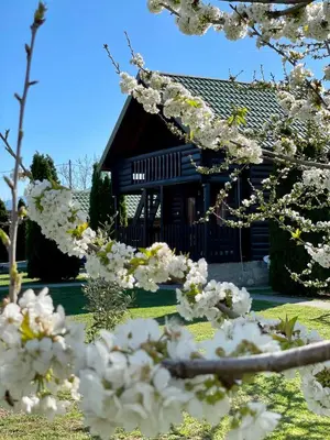 a house with a bunch of white flowers in front of it at Wooden House - Imanje Terzic in Podgorica