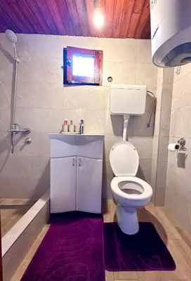 a bathroom with a toilet and a sink and a shower at Wooden House - Imanje Terzic in Podgorica