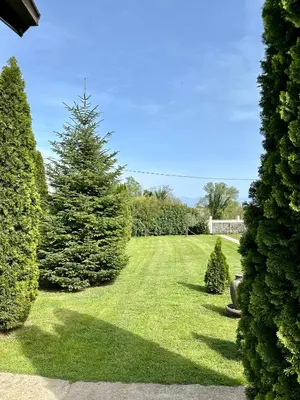 a lawn with a christmas tree in a yard at Wooden House - Imanje Terzic in Podgorica