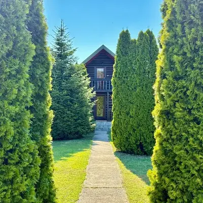 Wooden House - Imanje Terzic