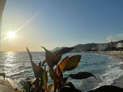 a plant in front of a beach with the sun at Apartmani Sunce in Bar