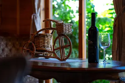a bottle of wine and a bike on a table with a glass at Villas Katarina Skadar Lake in Cetinje