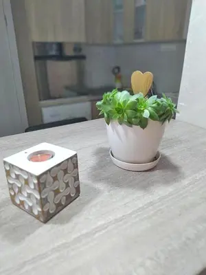 a table with a potted plant and a wooden box at Harmony in Radanovići