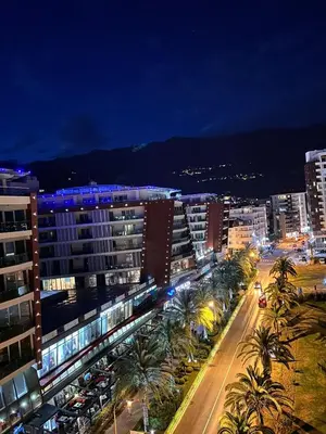 a city at night with palm trees and buildings at Apartment Andrea in Budva