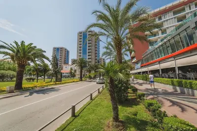 a street with palm trees next to a building at Apartment Andrea in Budva